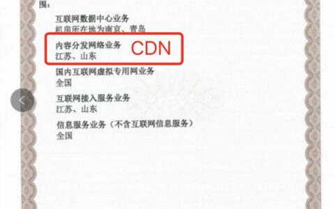 2024cdn指什么