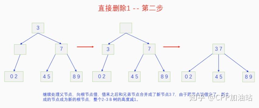 为什么红黑树效率高_红树林生长周期