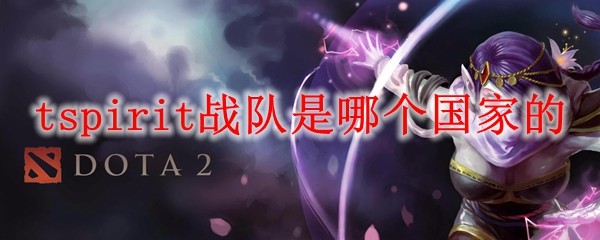 dota2team spirit战队_dota1战队