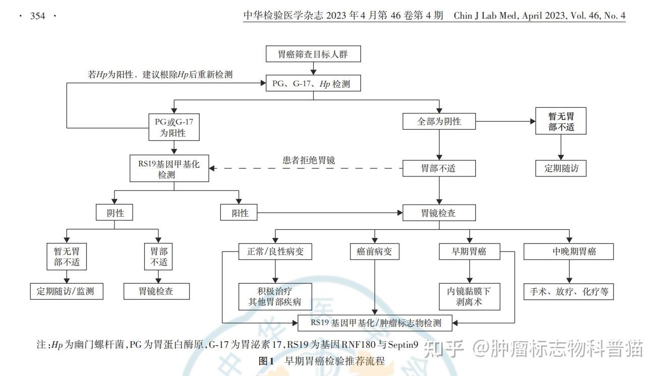 p g是什么意思_pg是什么意思医学