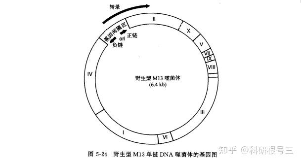 宿主软件和插件_宿主软件哪个好用