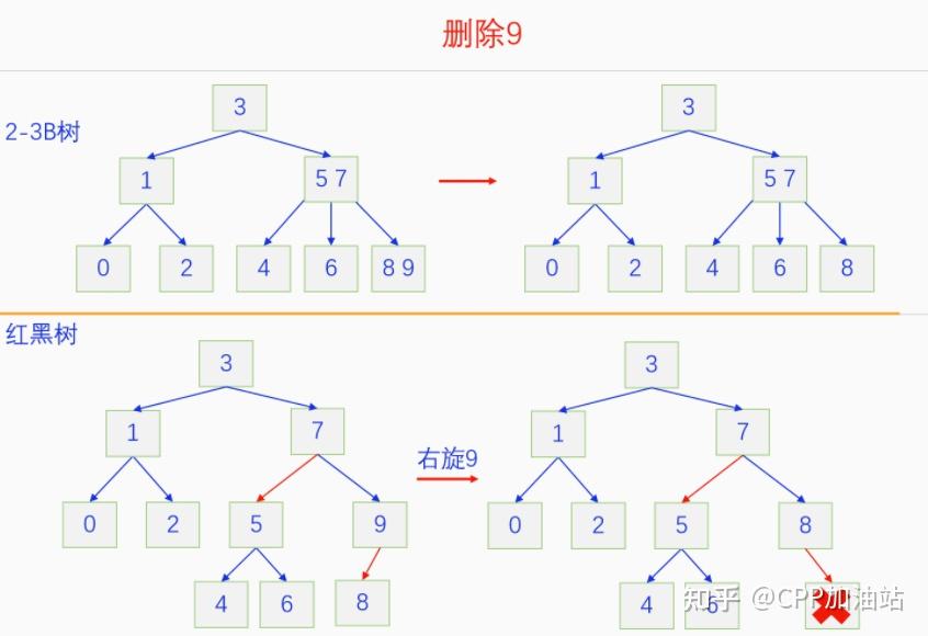 为什么红黑树效率高_红树林生长周期