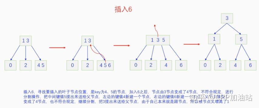 为什么红黑树效率高_红树林生长周期