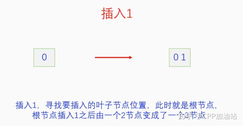 为什么红黑树效率高_红树林生长周期