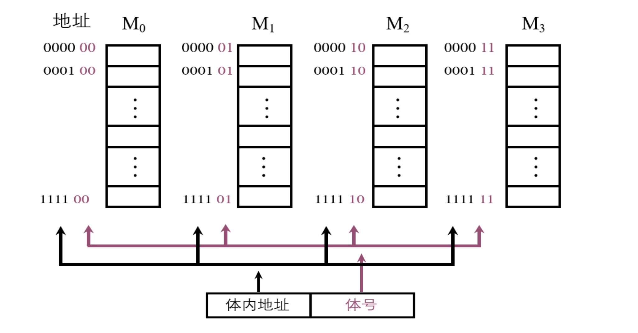 存储器的结构和功能_存储器的结构和功能是什么