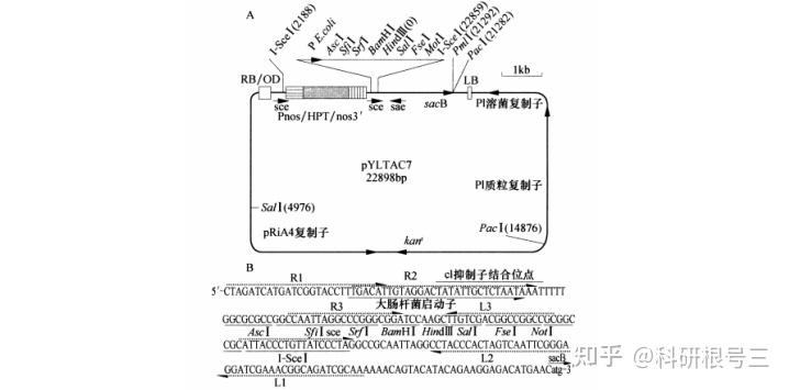 宿主软件和插件_宿主软件哪个好用