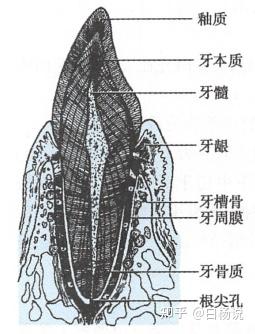 电脑分区表坏了怎么办_电脑分区表坏了怎么办啊