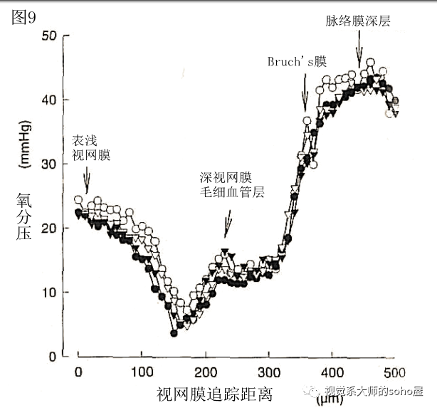 dl250要出新款_dl150和dl250怎么选