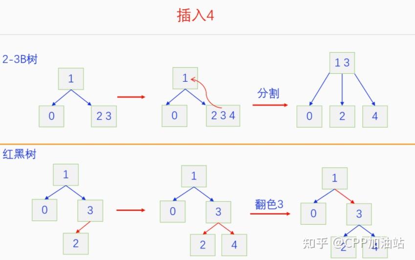 为什么红黑树效率高_红树林生长周期