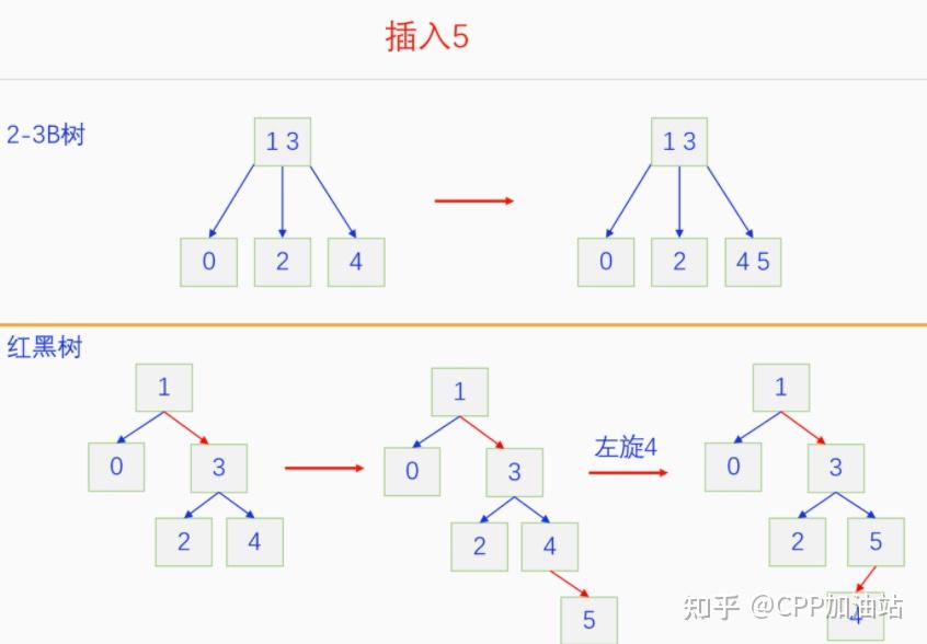 为什么红黑树效率高_红树林生长周期