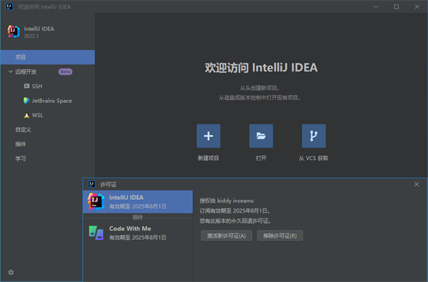 IntelliJ IDEA 2023.1.3激活成功教程版 第2张图片