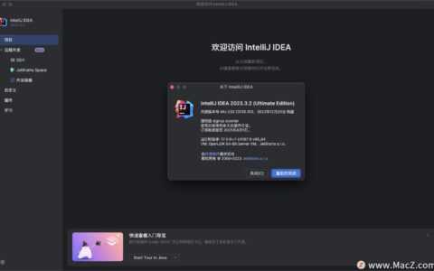 Idea激活2023.3.1(IntelliJ IDEA 2023 for Mac(最好用的Java开发工具) v2023.3.2汉化激活版)