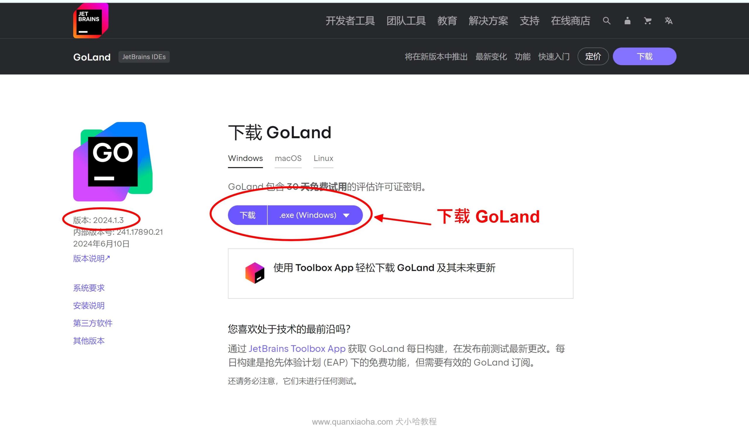 下载 GoLand 2024.1.3 安装包