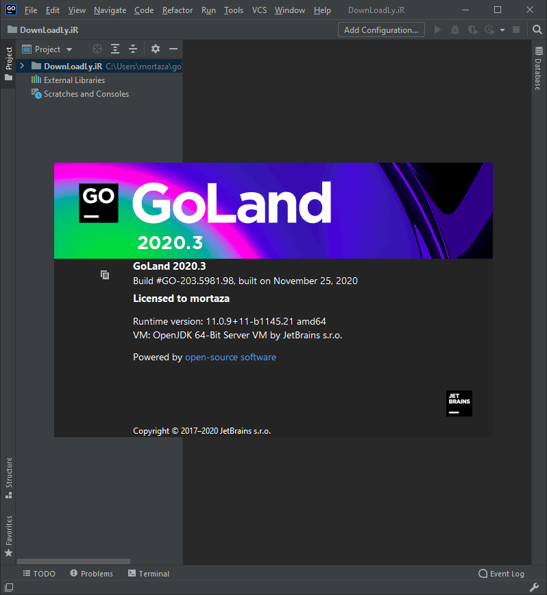 GoLand screenshot