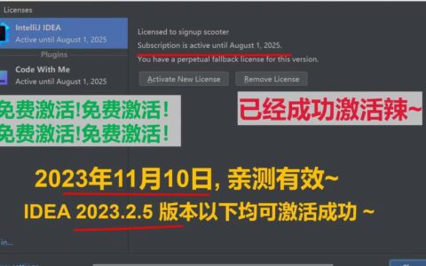 WebStorm激活2023.2.6(IDEA 2023.2.5激HUO码永久有效)