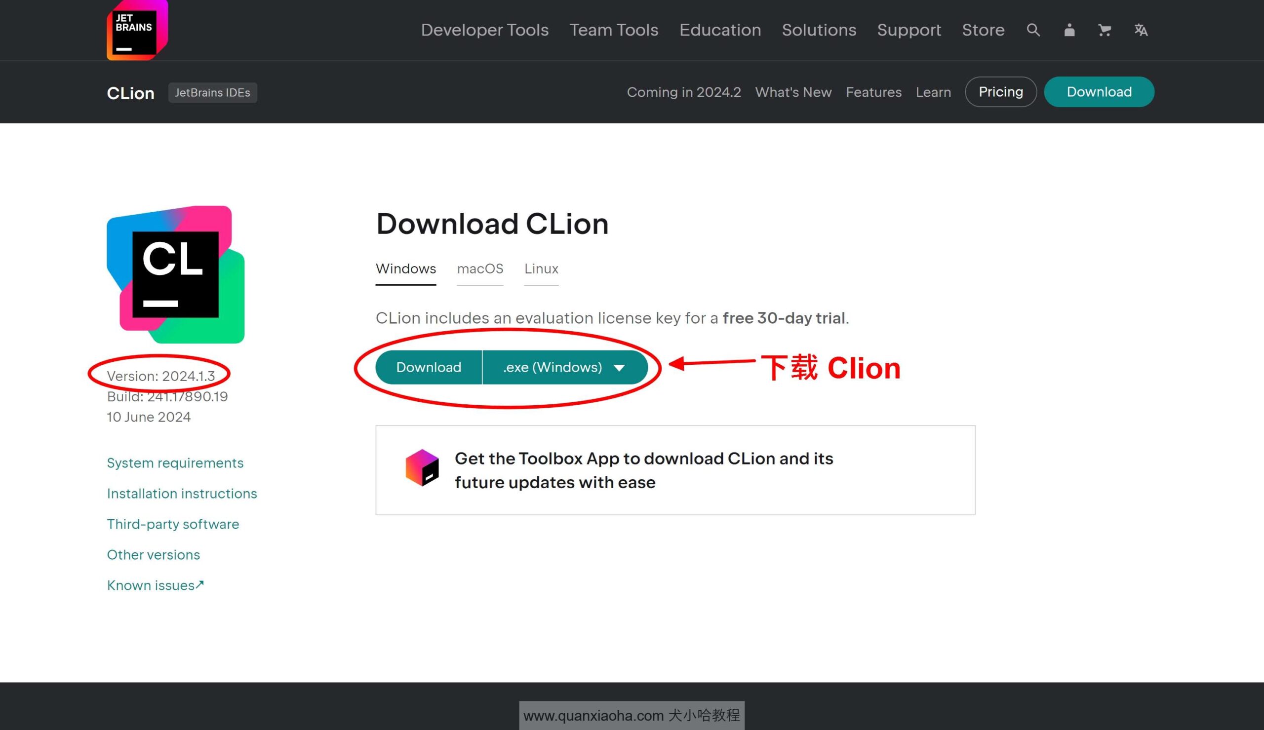 Clion 2024.1.3版本官网下载