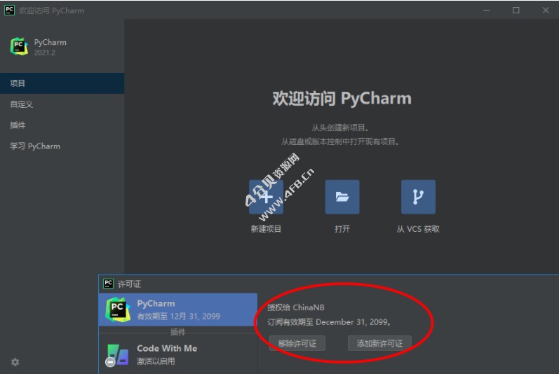 JetBrains PyCharm 2024.1.0 Professional 永久激活版