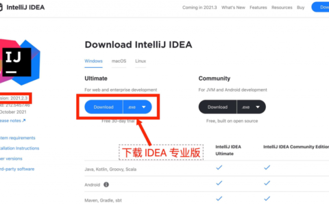 Clion激活2023.3.3(最新IntelliJ IDEA 2023.3最新idea激活激活成功教程教程(可激活至2099年）)