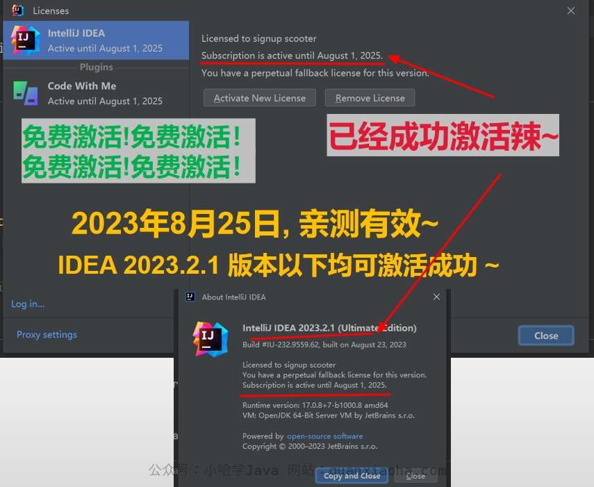 IDEA 2023.2.1 成功激活成功教程激活截图