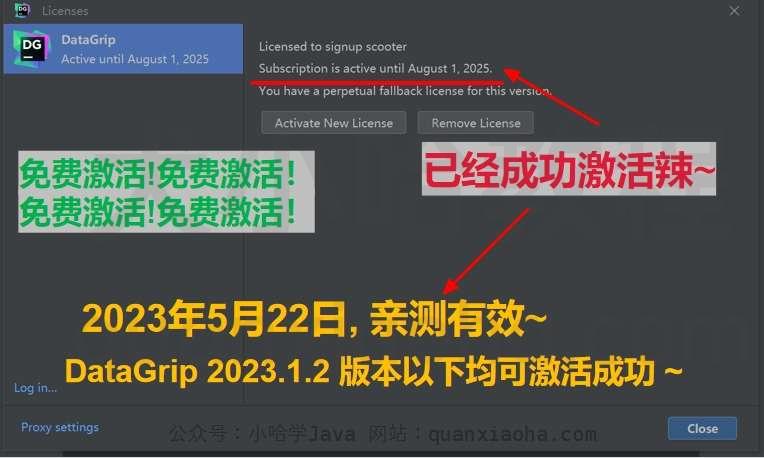 Datagrip 2023.1.2 版本启动界面