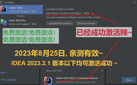 Idea激活2024.1.4(IntelliJ IDEA 2023.2.1 最新激活激活成功教程教程，付详细图文，永久激活，亲测可用)