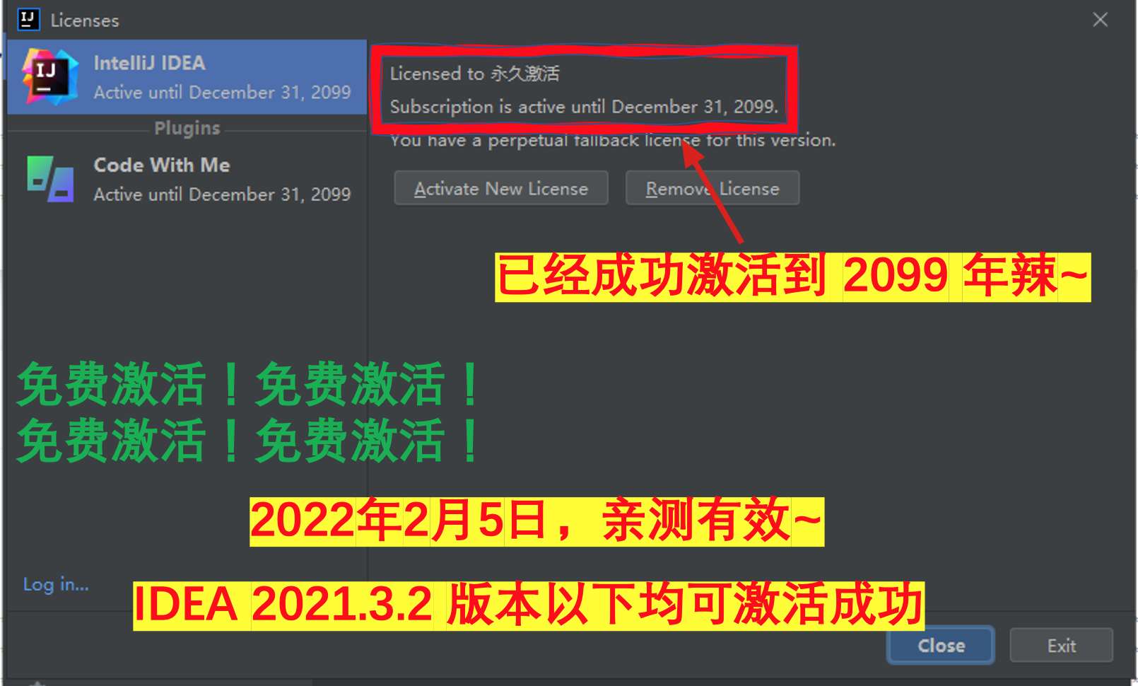 IDEA 2021.3.2 成功激活至2099年截图