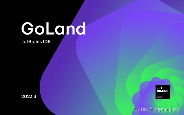 Goland激活2024.1.2(分享 GoLand 2024.1 激活的方案，支持JetBrains全家桶-tech99 知识搜索引擎)