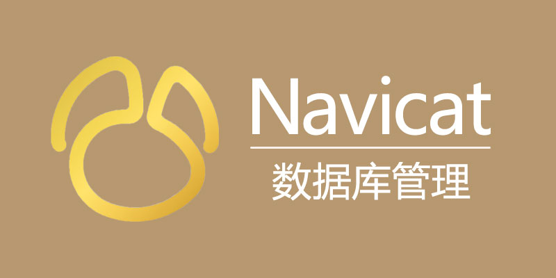 Navicat Premium 激活版 Win 17.0.4 / Mac 16.3.7 数据库管理软件