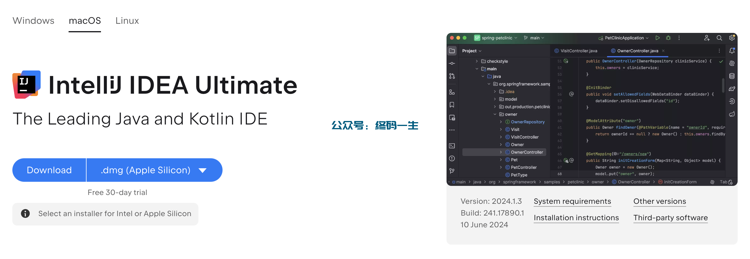 Idea激活2024.1.3(IntelliJ IDEA 2024.1.3 最新激活码 激活成功教程教程 永久激活工具（全家桶 一键激活）)