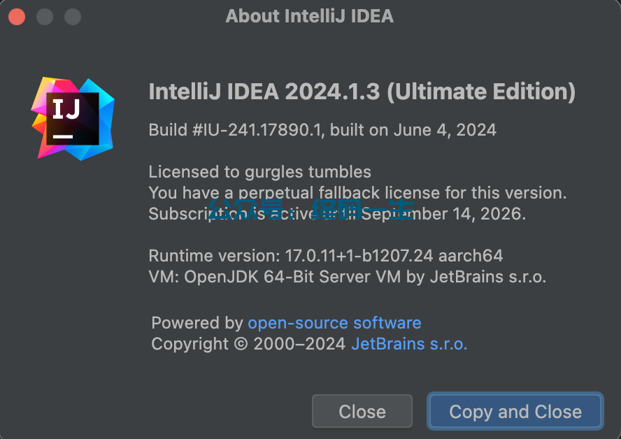 Idea激活2024.1.3(IntelliJ IDEA 2024.1.3 最新激活码 激活成功教程教程 永久激活工具（全家桶 一键激活）)