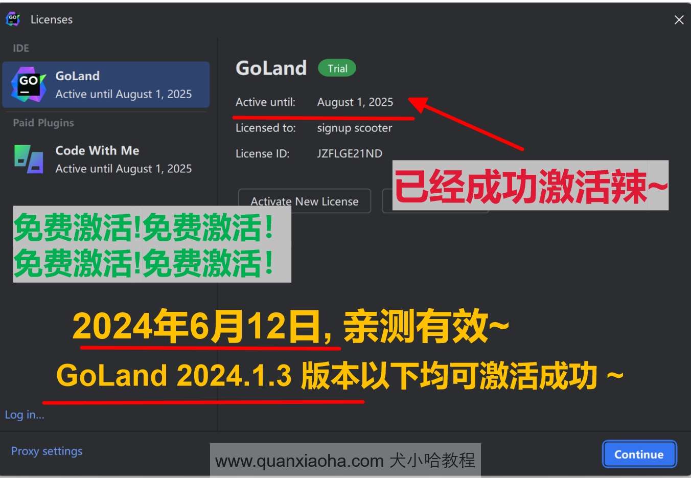 GoLand 2024.1.3 成功激活成功教程激活截图