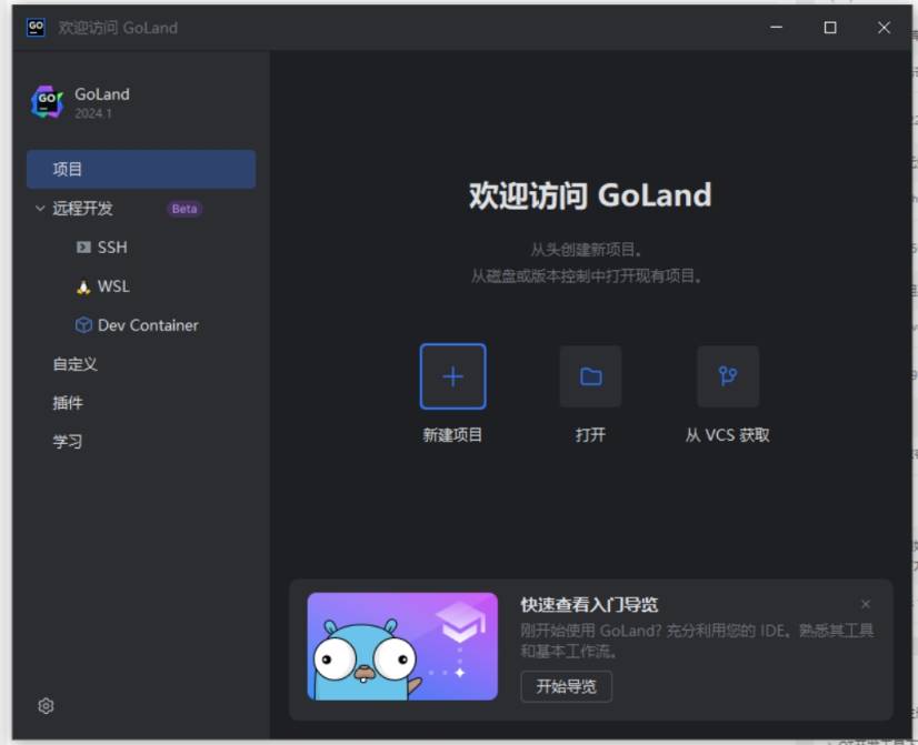 [激活版] JetBrains GoLand v2024.1