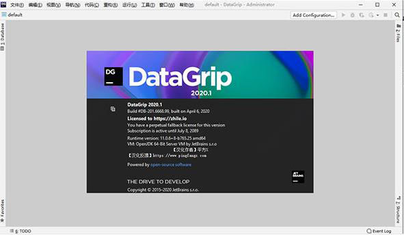 Datagrip激活2024.1.4(DataGrip2023激活文件 V2023.1 绿色免费版)