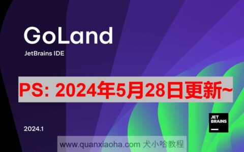 Goland激活2024.1(GoLand 2024.1.2 最新激活码,激活成功教程版安装教程（亲测有效~）)