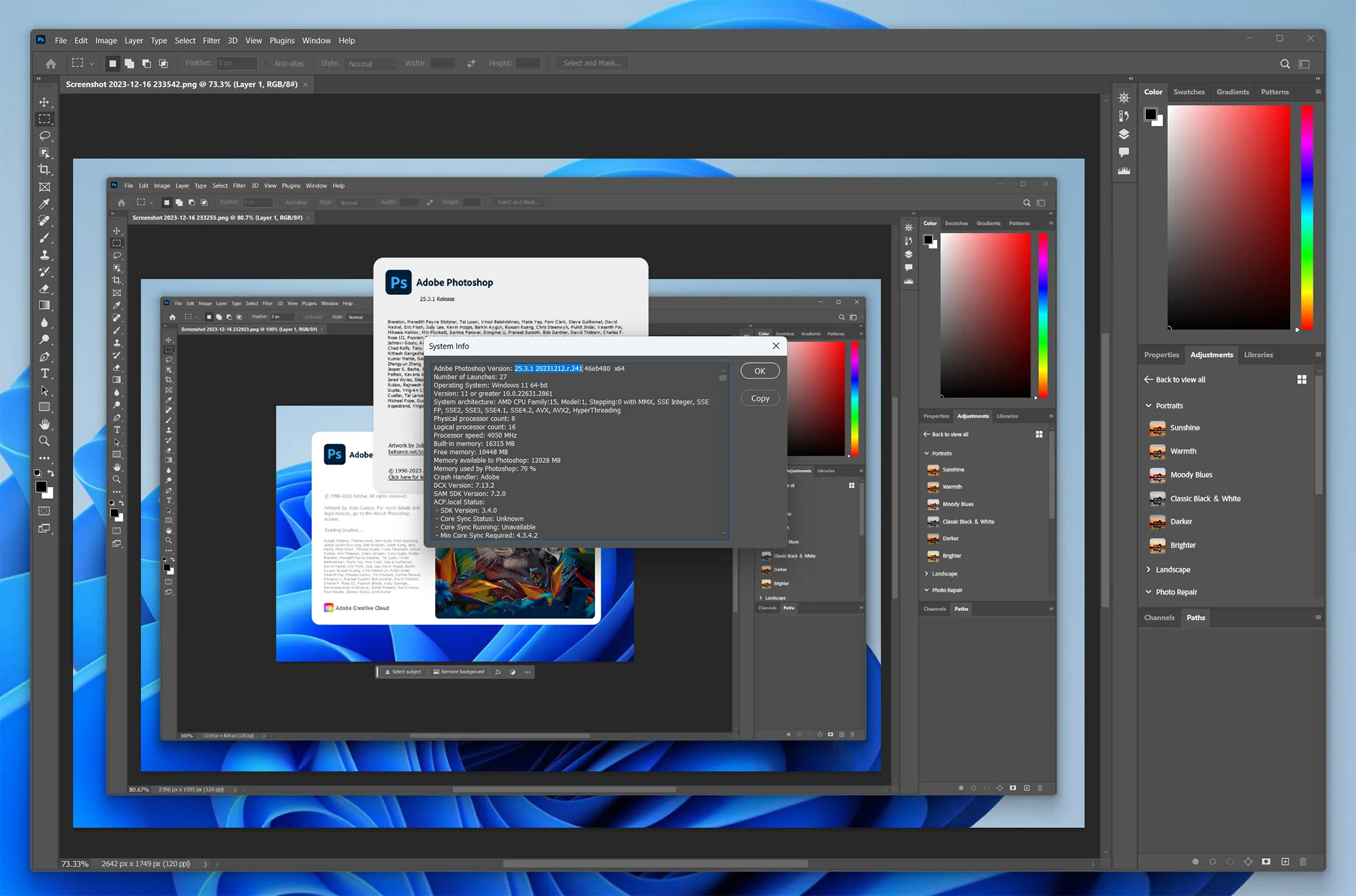 Adobe Photoshop 2024 25.3.1 241 for Windows 多语言预激活直装版屏幕截图