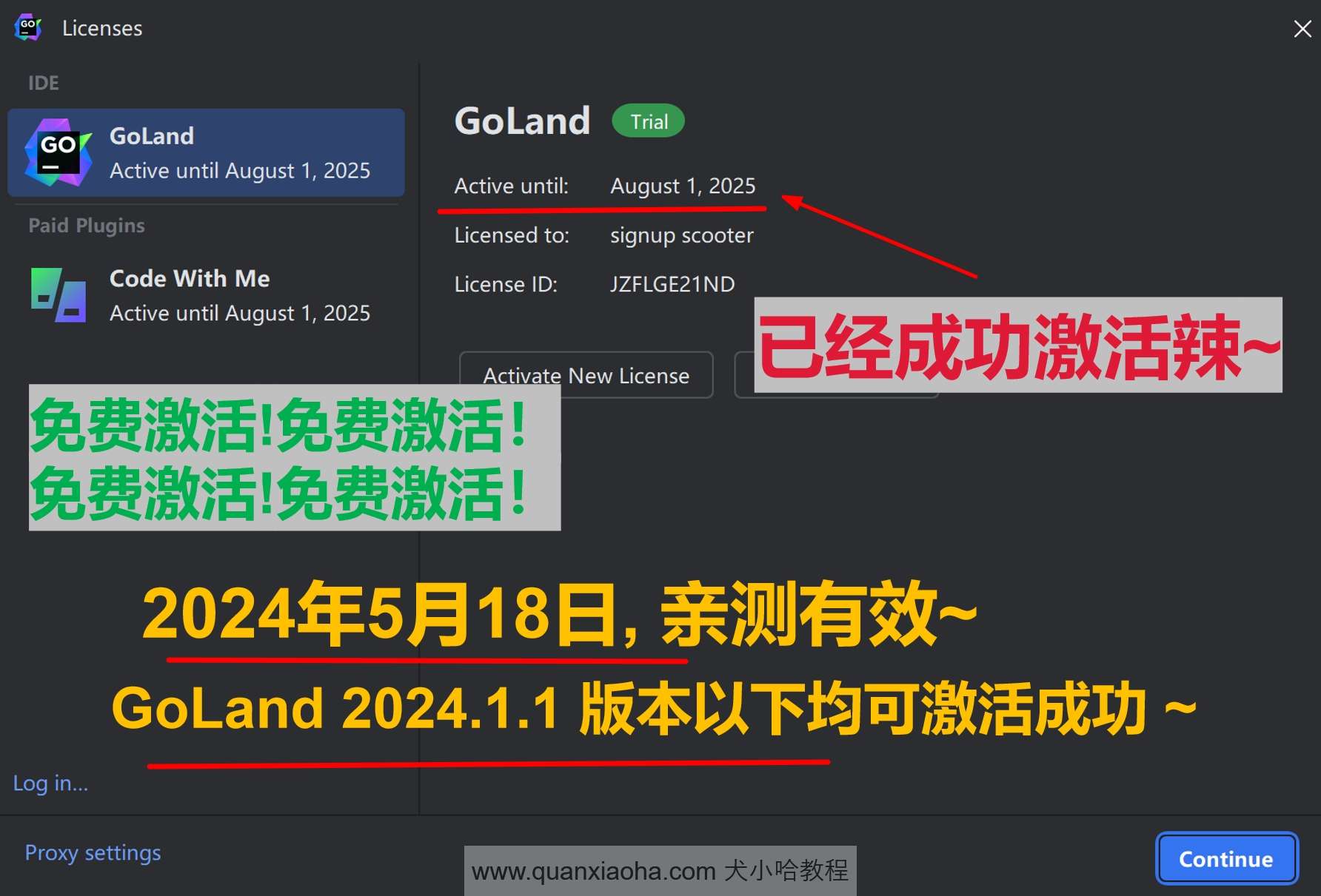 GoLand 2024.1.1 成功激活成功教程激活截图