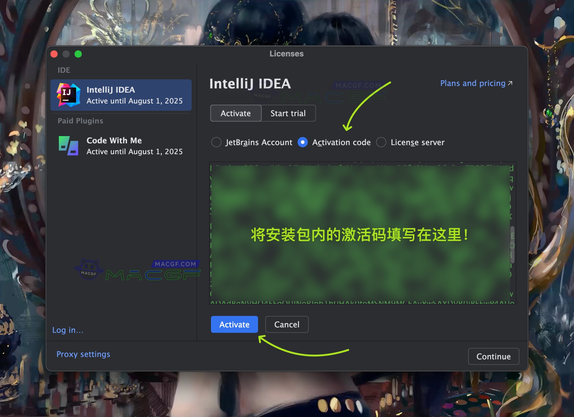图片[1] - 「Java语言开发集成环境」JetBrains IntelliJ IDEA v2024.1 中文激活版 - macGF