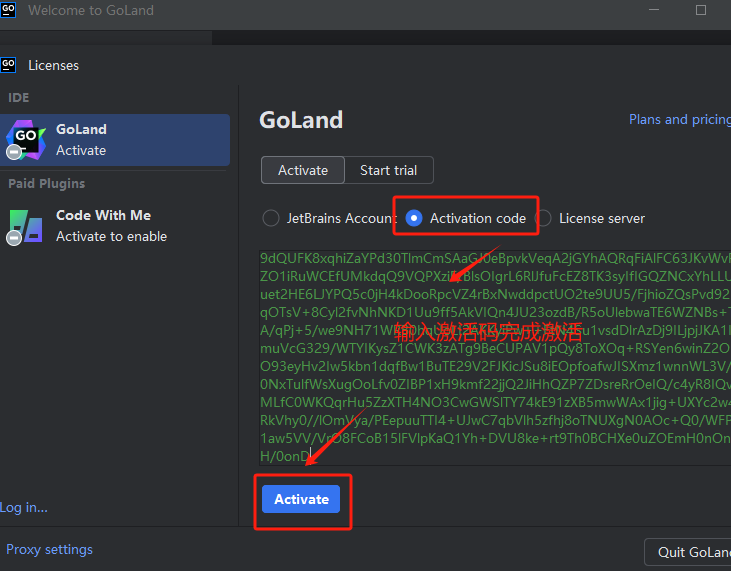 [激活版] JetBrains GoLand v2024.1