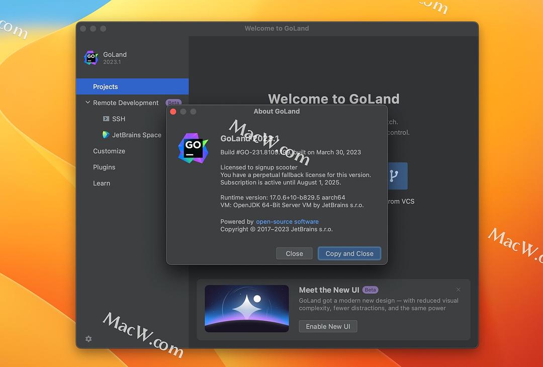 Goland激活2023.3.6(GoLand v2023.1中文激活版mac／win)