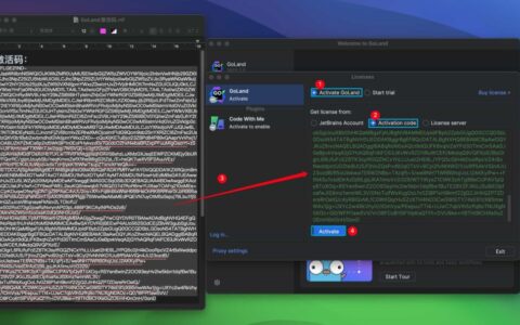 Goland激活2023.1.6(GoLand 2024 v2024.1.1 中文激活版 GO语言集成开发工具环境(支持intel／M1))