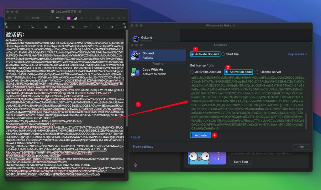 图片[1]-GoLand 2024 v2024.1.3 中文激活版 GO语言集成开发工具环境(支持intel/M1)-Mac软件免费下载-Mac良选