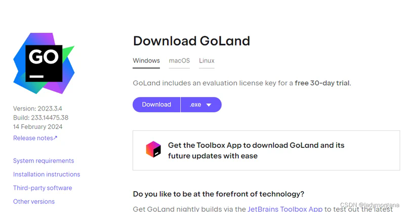 Goland激活2024.1.3(最新 GoLand 2023.3.4 下载与安装 + 永久免费)