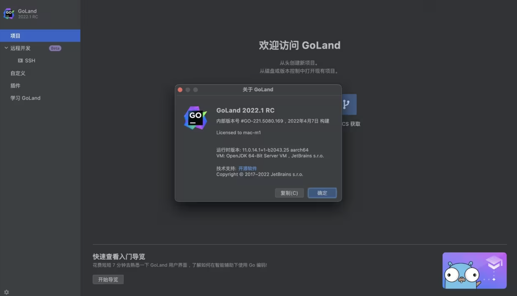 Goland激活2023.2.5(JetBrains GoLand for Mac v2023.2 Go语言集成开发环境)