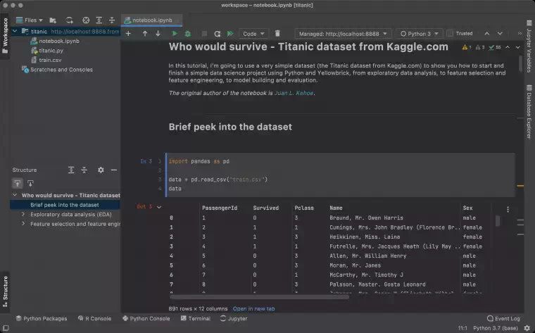 [WIN]JetBrains DataSpell (专业数据科学家的 IDE) 2023.1.3插图1