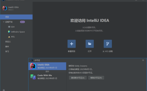 Idea激活2023.3(JetBrains IntelliJ IDEA 2023 v2023.3.0 中文激活版)