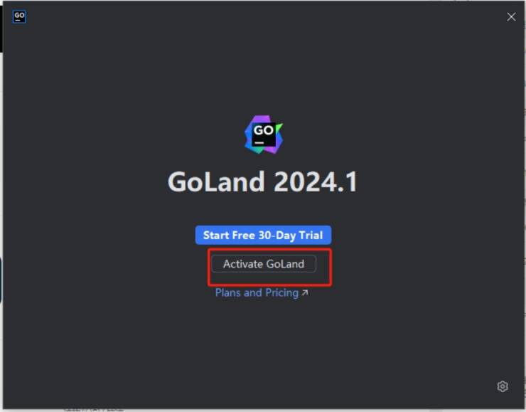 [激活版] JetBrains GoLand v2024.1