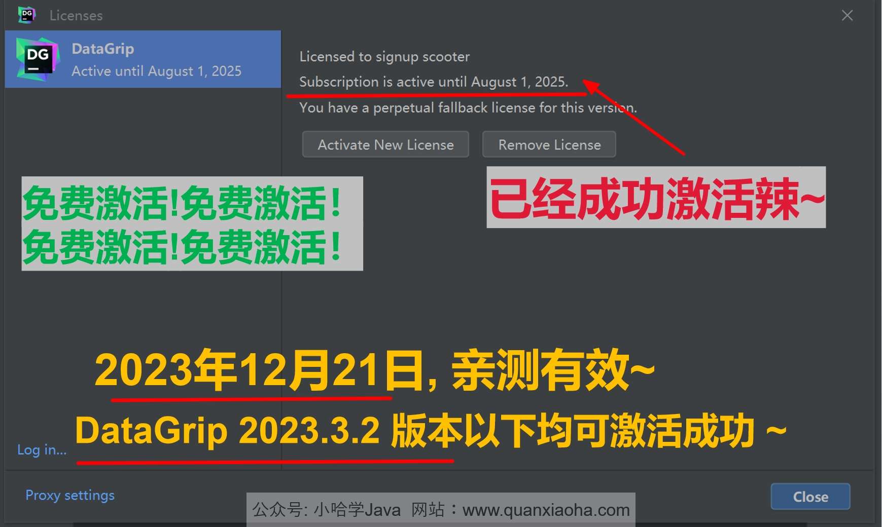 Datagrip 2023.3.2 版本启动界面