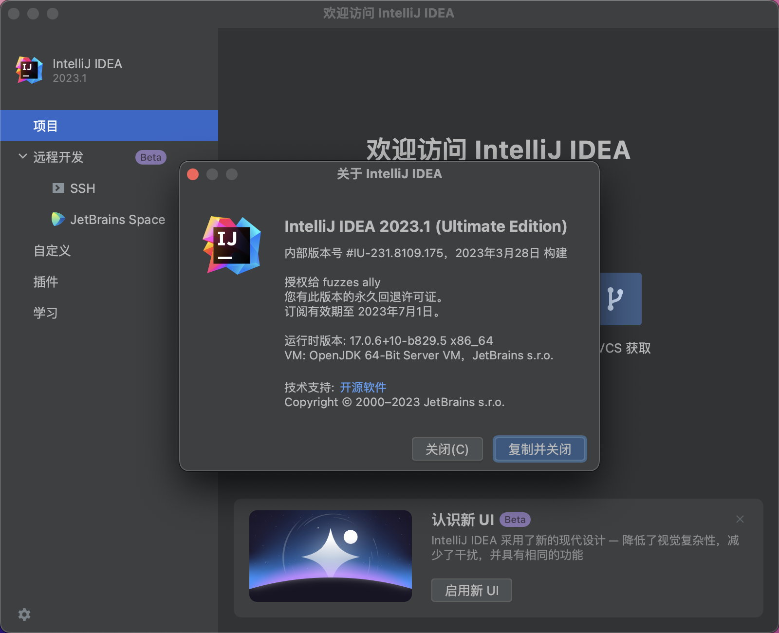 IntelliJ IDEA 2023 v2023.3 –  Java语言开发集成环境插图9