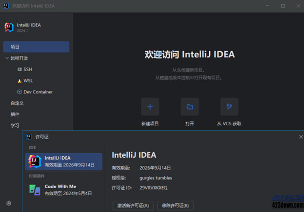 IntelliJ IDEA 2024激活成功教程版下载