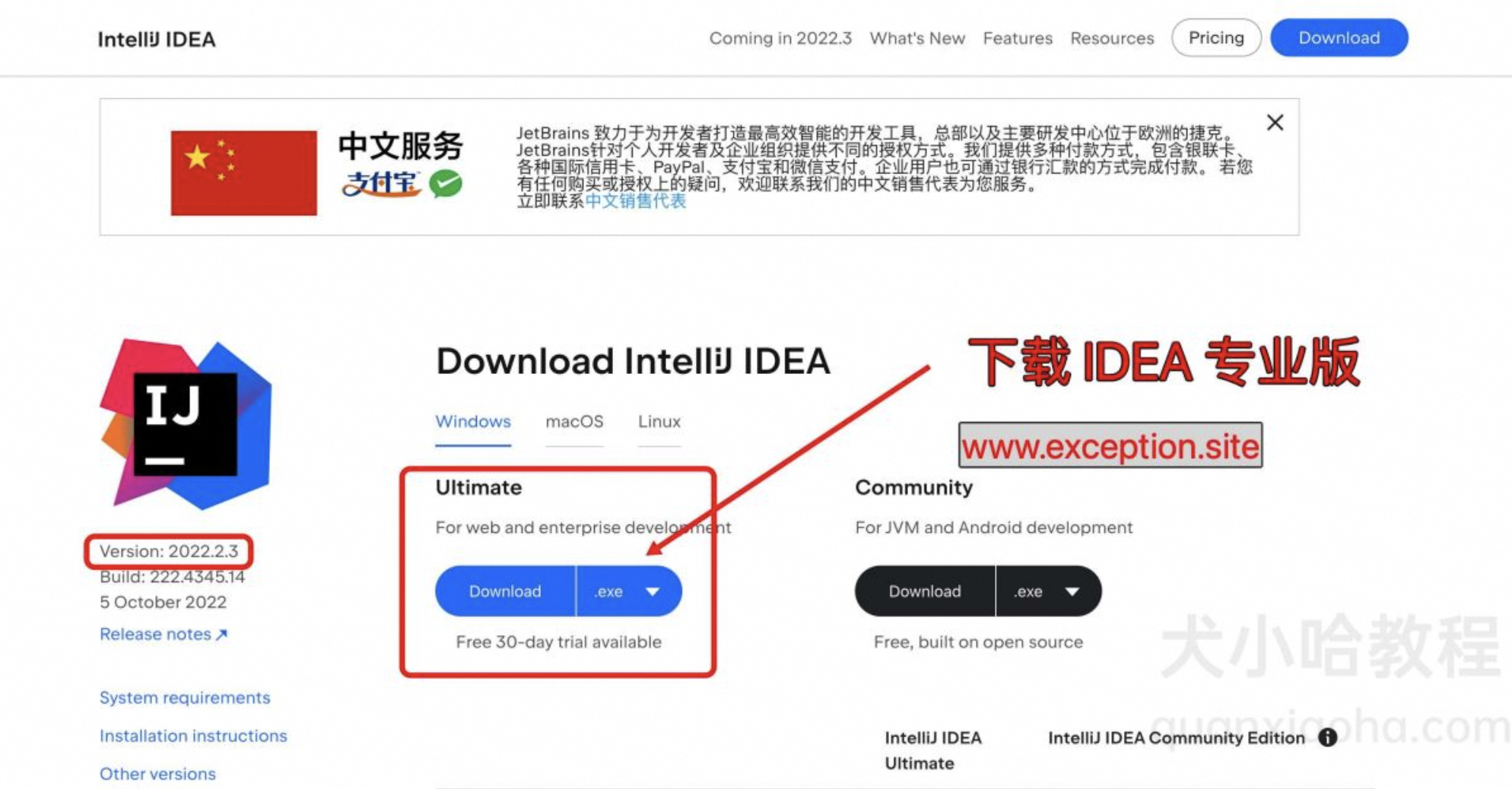 idea激活2024.1.1（IntelliJ IDEA 2022.2.3最新安装激活图文教程）